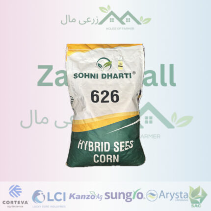 SOHNI DHARTI 626 | Best Quality Seed