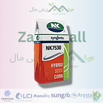 NK 7530 SYNGENTA HYBRID COEN SEED PER ACRE | BEST QUALITY SEED